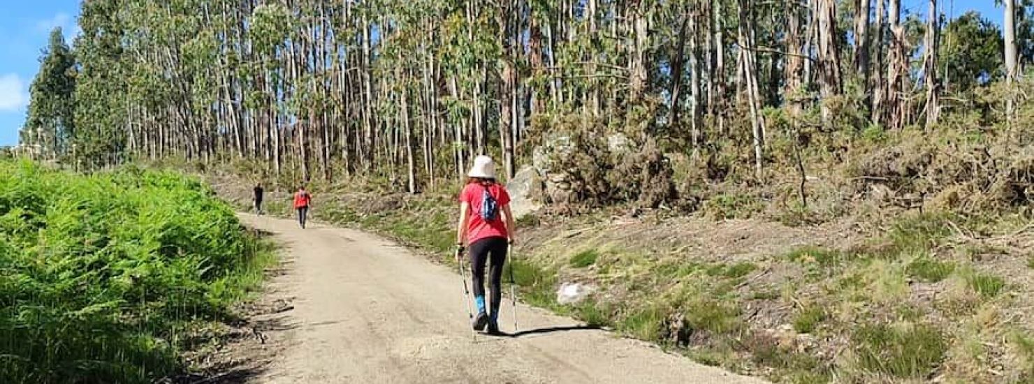 Miradoiro de Paraños