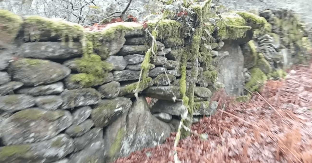 Continuidad y buen hacer