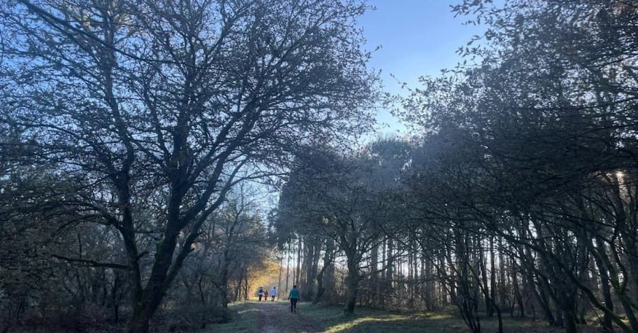 Camino Real por Friol