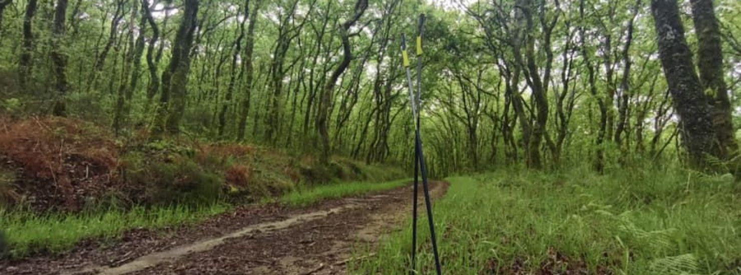 Walkear entre el despertar de la naturaleza: un placer para los sentidos