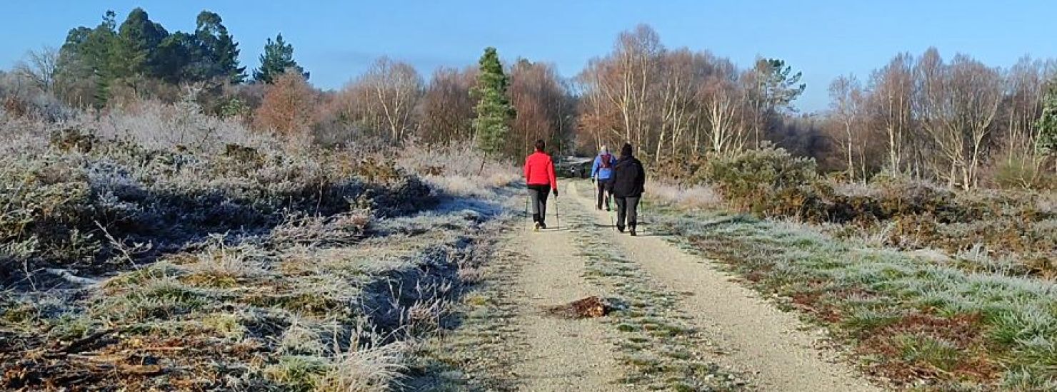 Invierno en el Camino Real