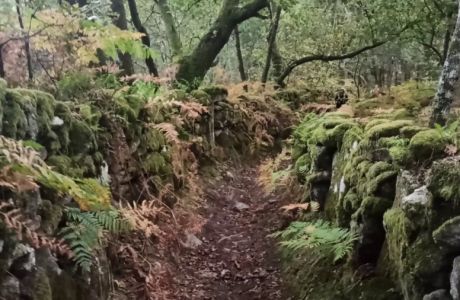 Verde que te quiero verde