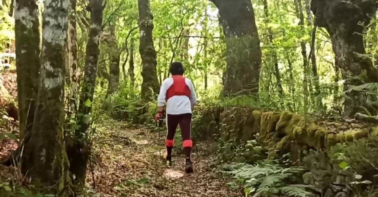 Irregularidad manifiesta