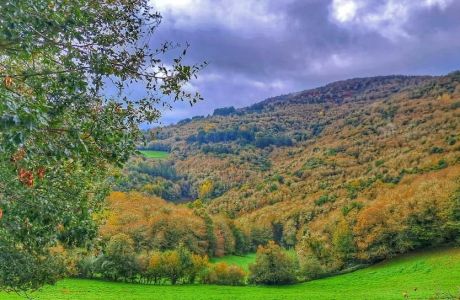 Os grobos, ruta  por el Souto da Agüeira