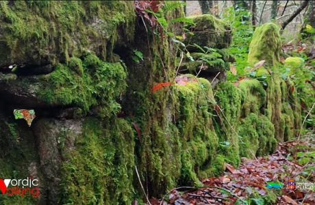 Muros xunta seca tralo musgo