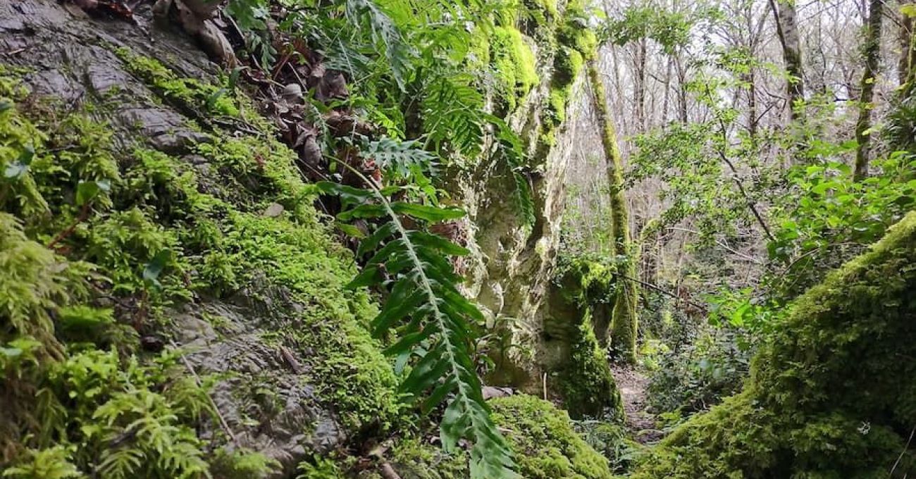 Grobos: El Karst y su Biodiversidad