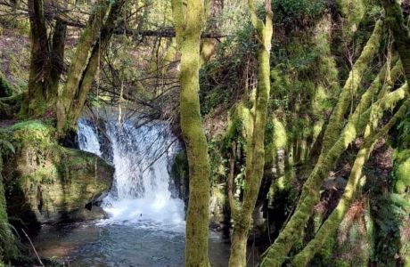 Un Paseo Primaveral en Becerreá desde Quintá de Cancelada