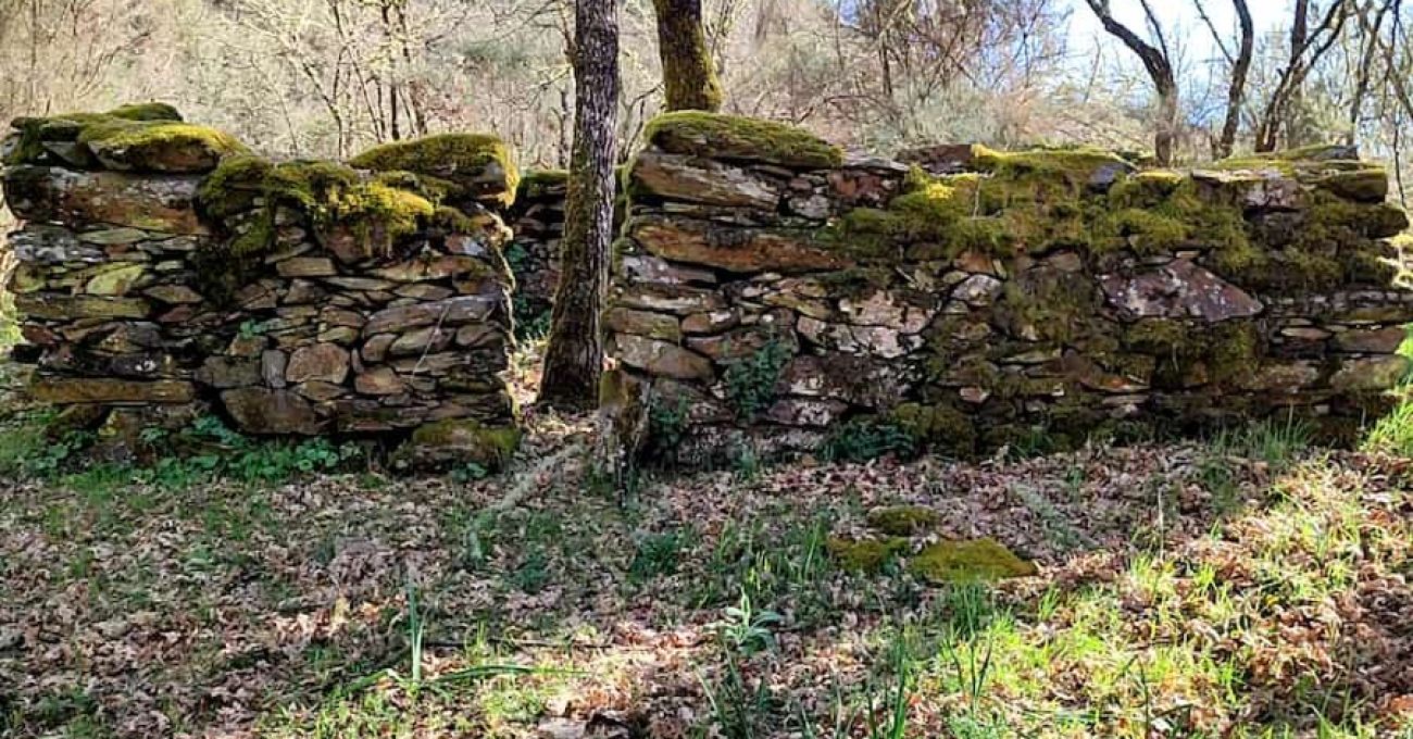 Ouriceiro en el Río Donsal