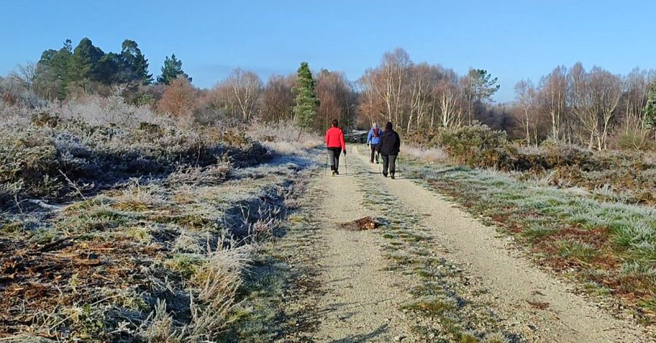 Invierno en el Camino Real
