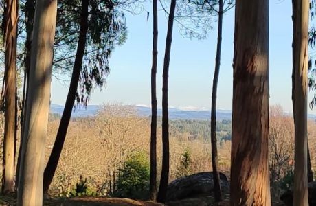 Nuevamente subimos a Penas de Rodas: