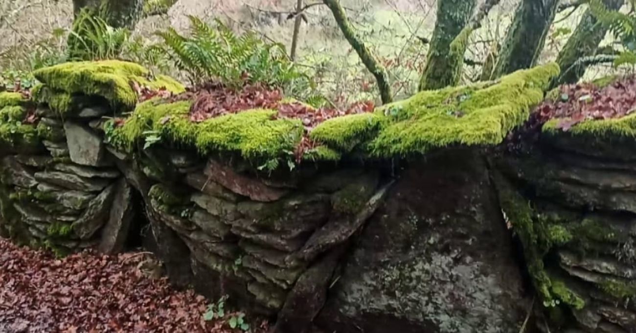 Muro en el camino, cubierto