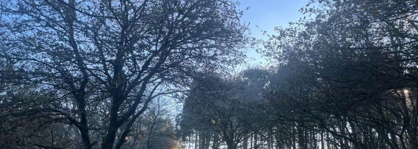 Camino Real por Friol