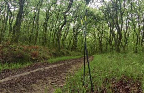 Walkear entre el despertar de la naturaleza: un placer para los sentidos