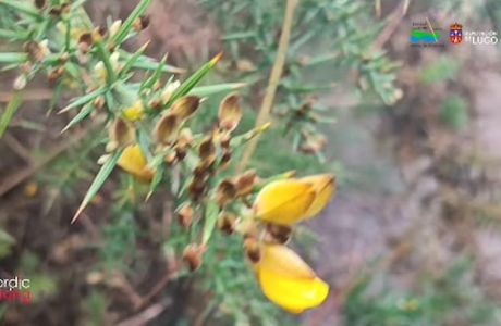 Saída otoñal recreativa por terras da Reserva da Biosfera Terras do Miño