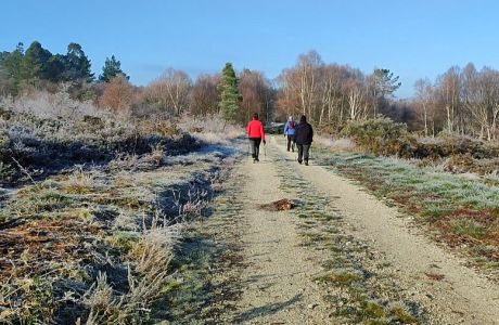 Invierno en el Camino Real