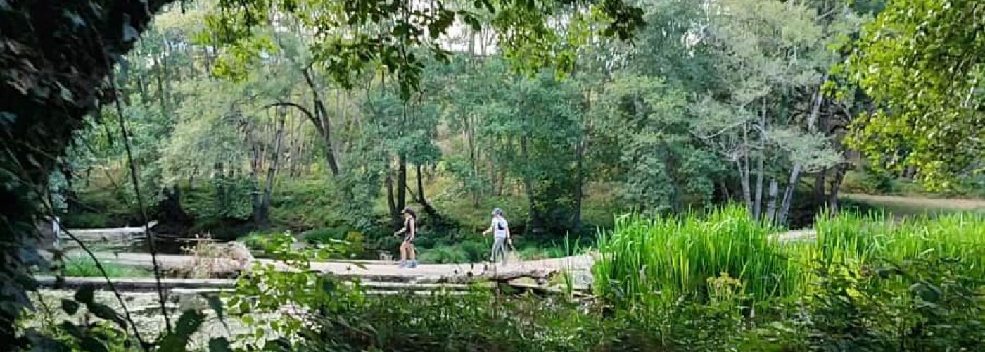 Molino de Paz en Moscán