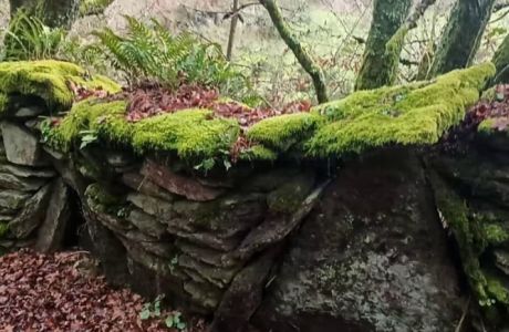 Muro en el camino, cubierto