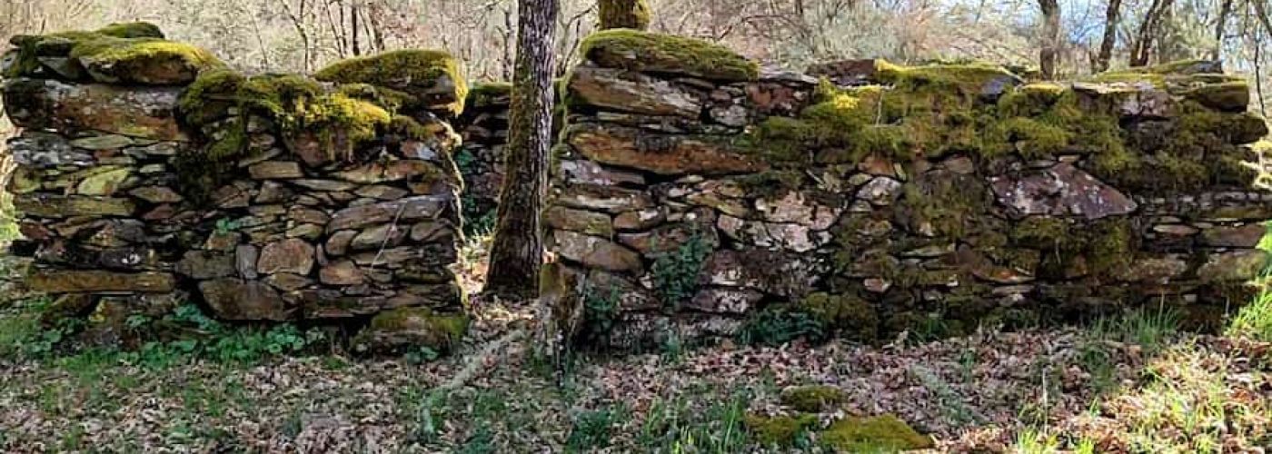 Ouriceiro en el Río Donsal