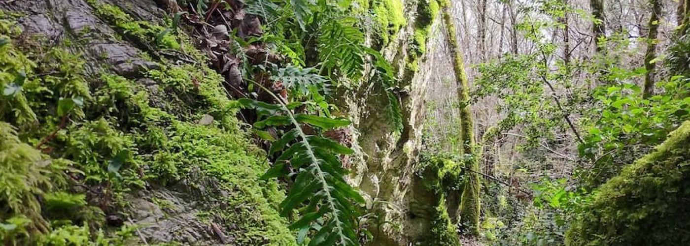 Grobos: El Karst y su Biodiversidad