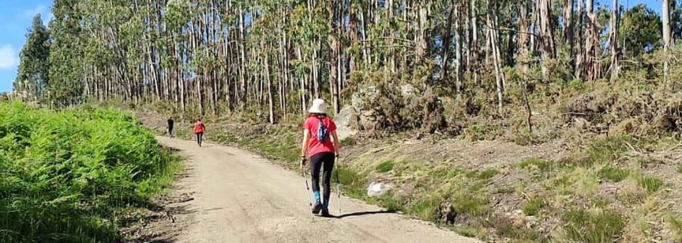 Miradoiro de Paraños