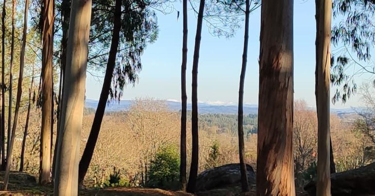 Nuevamente subimos a Penas de Rodas: