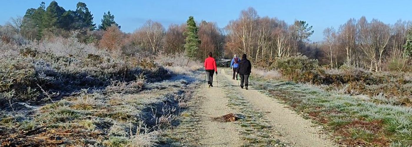Invierno en el Camino Real