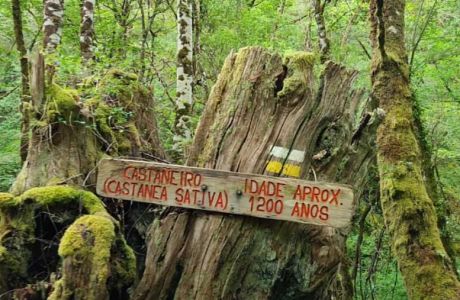 Un Camino por el Río Donsal en la Reserva de la Biosfera de Ancares