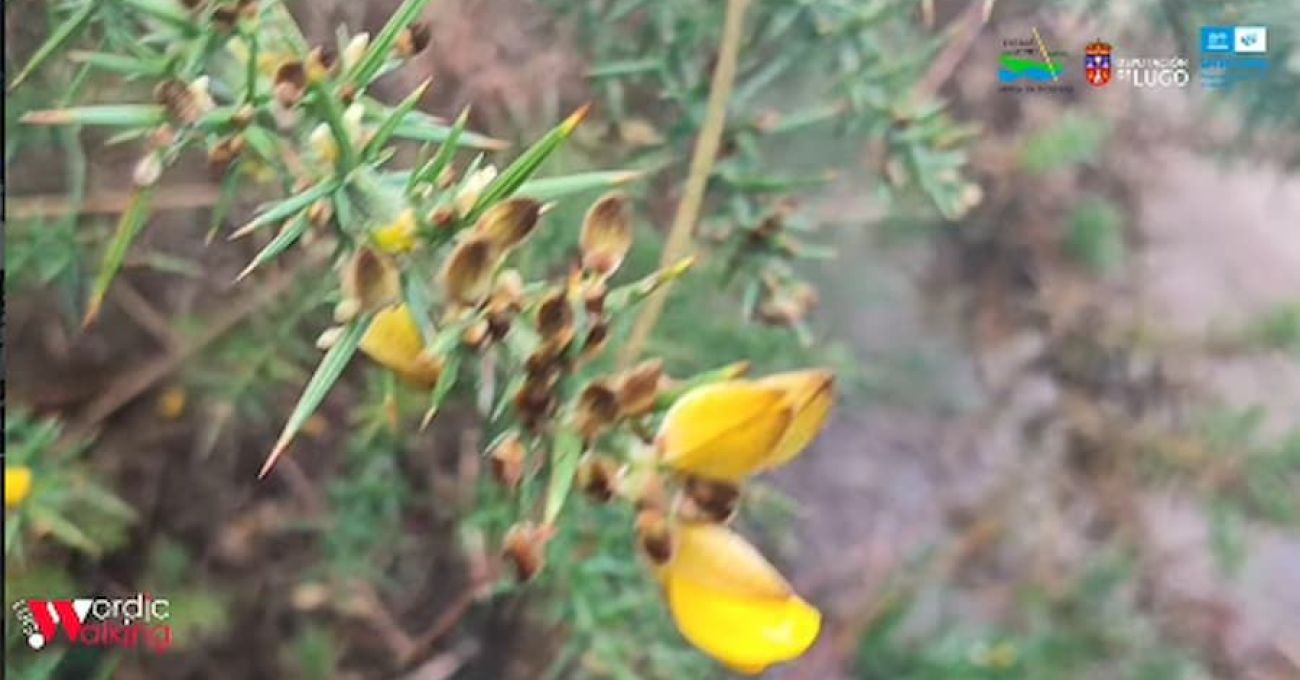 Saída otoñal recreativa por terras da Reserva da Biosfera Terras do Miño