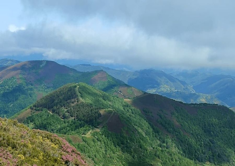 V Clinic de Técnica específica  ALFA 247  "Desniveles + y -"