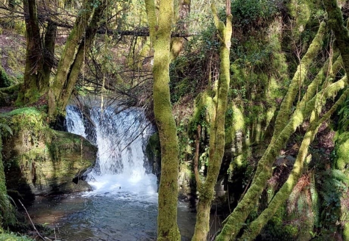 Rio Dosal Cascada