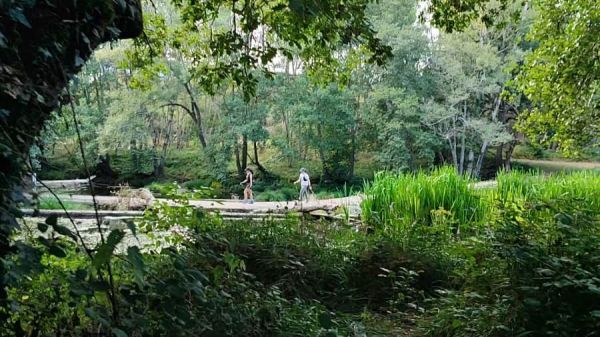 Molino de Paz en Moscán