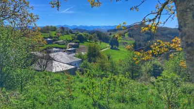 QUINTA DE CANCELADA en BECERREA