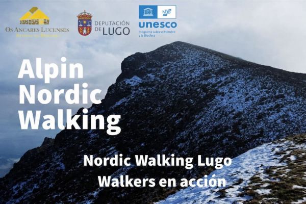 VI Clinic de Técnica Específica ALFA 247 · Desniveles + y −