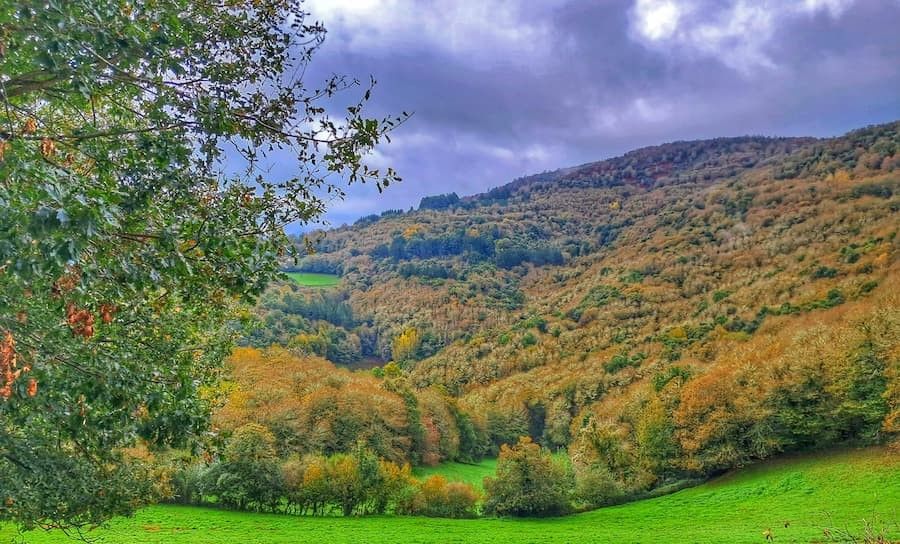 Os grobos, ruta  por el Souto da Agüeira