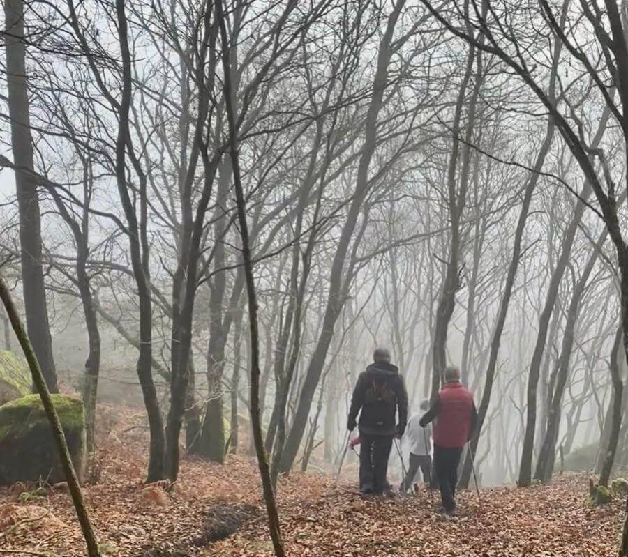 Walkers en la niebla