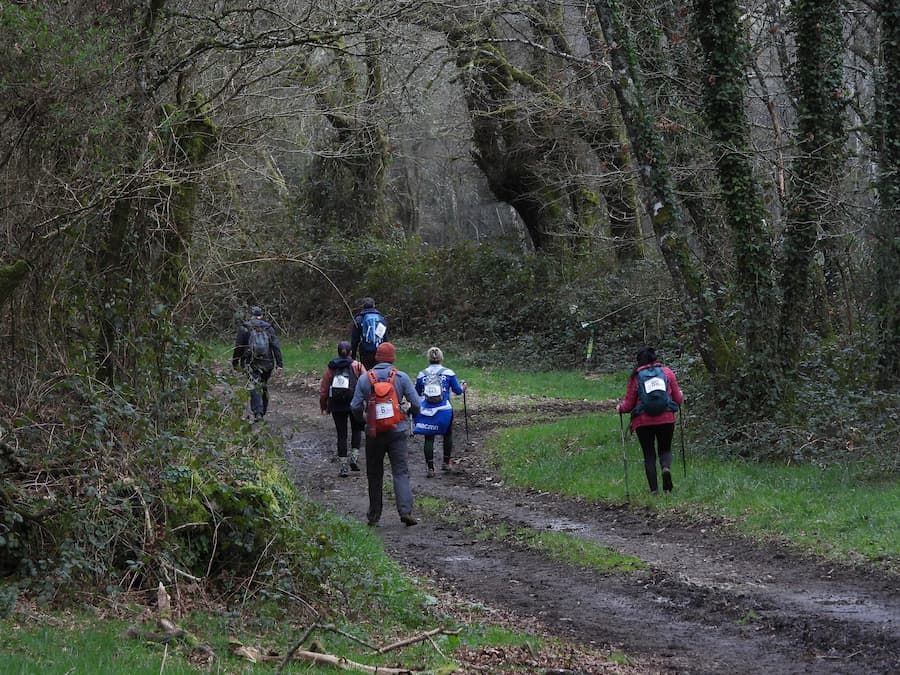 No Camiño Real de Friol