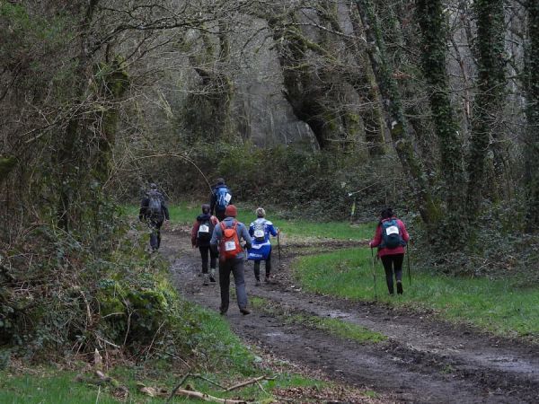 No Camiño Real de Friol